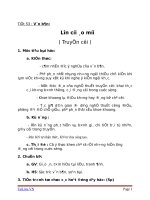 Giáo án Ngữ văn 6 bài 12: Lợn cưới, áo mới