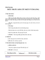 Giáo án Ngữ văn 6 bài 16: Thầy thuốc giỏi cốt nhất ở tấm lòng