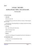 Giáo án Ngữ văn 6 bài 12: Lợn cưới, áo mới