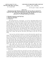 C1 tân phúc  phụ lục 1 ( BC cuối năm học 2018 2019) (1)