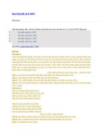 Đọc hiểu đề số 8 THPT