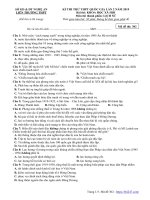 thi247 com   đề thi thử THPTQG 2019 môn lịch sử lần 2 liên trường THPT – nghệ an 