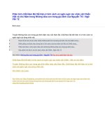 Phân tích chất nam bộ thể hiện ở tính cách và ngôn ngữ các nhân vật chiến việt và chú năm trong những đứa con trong gia đình của nguyễn thi