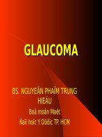 Bệnh Glaucoma