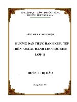 Sáng kiến kinh nghiệm: Hướng dẫn thực hành kiểu tệp trên pascal dành cho học sinh lớp 11