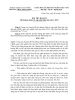 Bài thu hoạch chính trị hè 2019