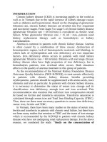 Nghiên cứu nồng độ sắt, ferritin và khả năng gắn sắt toàn phần trong huyết tương ở bệnh nhân bệnh thận mạn tính chưa điều trị thay thế thận tt tiếng anh