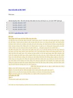 Đọc hiểu đề số 95 THPT