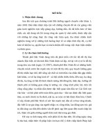 Tieu luan tranh chap dat dai giua 2 cha con (ha)