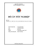 thiet ke may pha son tu dong