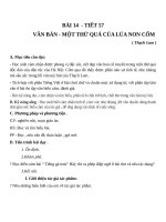 Giáo án Ngữ văn 7 bài 14: Một thứ quà của lúa non: Cốm