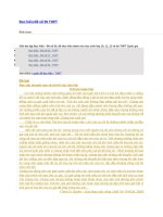 Đọc hiểu đề số 55 THPT