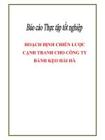 Báo cáo thực tập tốt nghiệp hoạch định chiến lược cạnh tranh cho công ty bánh kẹo hải hà 