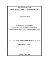 Quản lý rủi ro tín dụng tại Ngân hàng Thương mại Cổ phần Công thương Việt Nam, chi nhánh Bắc Kạn (Luận văn thạc sĩ)