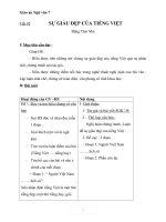 Giáo án Ngữ văn 7 bài 21: Sự giàu đẹp của Tiếng Việt