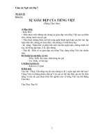 Giáo án Ngữ văn 7 bài 21: Sự giàu đẹp của Tiếng Việt