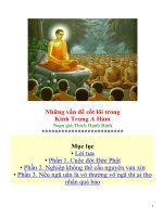 Những vấn đề cốt lõi trong Kinh Trung A Hàm Soạn giả:Thích Hạnh Bình