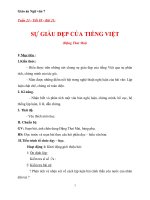 Giáo án Ngữ văn 7 bài 21: Sự giàu đẹp của Tiếng Việt