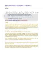 Phân tích hình tượng cây xà nu trong rừng xà nu ngữ văn 12