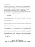 Capital Contribution of Vietnam Limited Liability Company