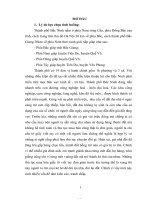 Tiểu luận xử lý giải quyết tình huống tranh chấp đất đai giữa ông a và bà b tại phường hạp lĩnh, thành phố bắc ninh năm 2019