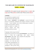 VOCABULARY IN CONTEXT BY NGOCBACH TOPIC WORK 