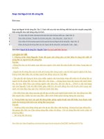 Soạn bài người lái đò sông đà