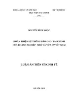 Hoàn thiện hệ thống báo cáo tài chính của doanh nghiệp nhỏ và vừa ở việt nam