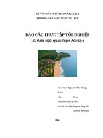 ảnh bì báo cáo, bản mẫu báo cáo