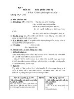 Giáo án Ngữ văn 7 bài 7: Sau phút chia ly (trích Chinh phụ ngâm khúc)