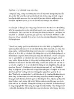 Nghị luận về sự kiên định trong cuộc sống 