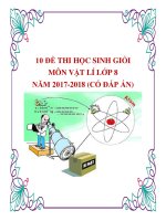 10 đề thi học sinh giỏi môn vật lí lớp 8 năm 2017 2018 có đáp án 