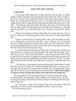 skkn một số kinh nghiệm trong công tác chỉ đạo xây dựng môi trường xanh trong khuôn viên trường học 