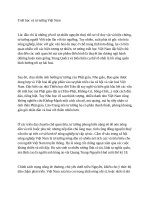 Triết học và tư tưởng việt nam 