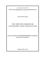 Phát triển nông nghiệp đô thị tại thành phố Cẩm Phả, tỉnh Quảng Ninh (Luận văn thạc sĩ)