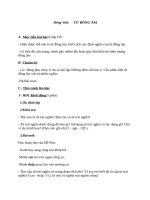 Giáo án Ngữ văn 7 bài 11: Từ đồng âm