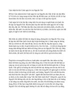 Cảm nhận bài thơ cảnh ngày hè của nguyễn trãi 