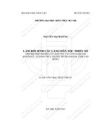 Làm hồi sinh các làng dân tộc thiểu số 