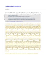 Tác phẩm hoàng lê nhất thống chí