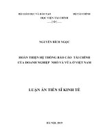 Hoàn thiện hệ thống báo cáo tài chính của doanh nghiệp nhỏ và vừa ở Việt Nam (Luận án tiến sĩ)