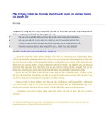 Phân tích giá trị nhân đạo trong tác phẩm chuyện người con gái nam xương của nguyễn dữ