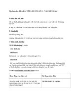 Giáo án Ngữ văn 7 bài 11: Trả bài tập làm văn số 2