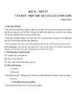 Giáo án Ngữ văn 7 bài 13: Luyện nói: Phát biểu cảm nghĩ về tác phẩm văn học