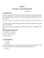 Giáo án Ngữ văn 7 bài 15: Sài Gòn tôi yêu
