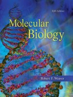 Molecular biology 5th ed    r  weaver (mcgraw hill, 2012) 