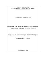 Quản lý rủi ro tín dụng đối với các ngân hàng thương mại trên địa bàn tỉnh Lào Cai (Luận văn thạc sĩ)