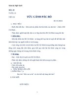 Giáo án Ngữ văn 8 bài 20: Tức cảnh Pác Bó