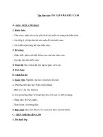 Giáo án Ngữ văn 7 bài 14: Ôn tập văn bản biểu cảm