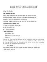 Giáo án Ngữ văn 7 bài 14: Ôn tập văn bản biểu cảm