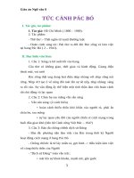 Giáo án Ngữ văn 8 bài 20: Tức cảnh Pác Bó